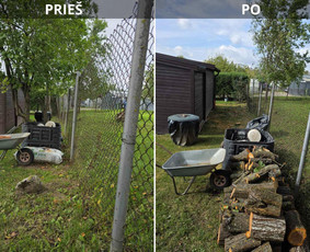 Tradiciniai amatai - Medžių pjovimas ir genėjimas - 1