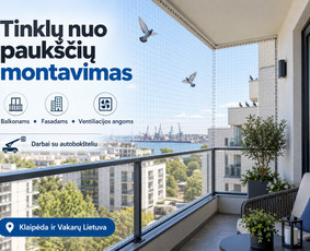 Lazerinis valymas - Stogų, fasadų, plovimas, ventiliacija, auk&scaron;talipiai - 1