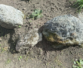Statybos, apdaila - Lauko akmenys - 3