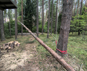 Statybos, apdaila - Arboristo paslaugos - medžių genėjimas, pjovimas, i&scaron;vežimas - 4