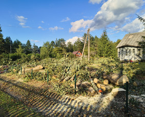 Statybos, apdaila - Arboristo paslaugos - medžių genėjimas, pjovimas, i&scaron;vežimas - 3