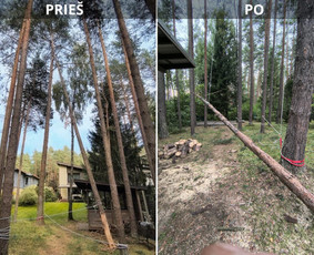 Statybos, apdaila - Arboristo paslaugos - medžių genėjimas, pjovimas, i&scaron;vežimas - 2