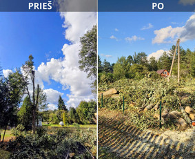 Statybos, apdaila - Arboristo paslaugos - medžių genėjimas, pjovimas, i&scaron;vežimas - 1