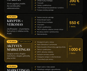 Komunikacija socialiniuose tinkluose - Garstyčia - Marketingo krypties vadovė - 2