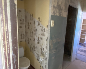 Griovimo darbai, šiukšlių išvežimas Klaipedoje ir aplink / Benas / Darbų pavyzdys ID 4540982