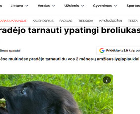 Straipsnių ra&scaron;ymas - Tekstų kūrimas, socialinių tinklų turinys, Seo, komunikacija - 4
