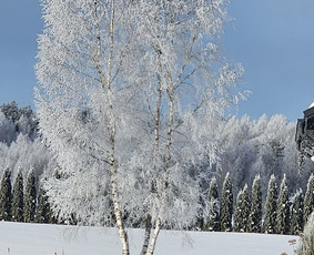 Renginiai, &scaron;ventės - Sodybos nuoma prie Vilniaus su Spa kubilu &ndash; &bdquo;Svajonių Uostas - 3