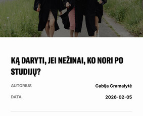 Straipsnių ra&scaron;ymas - Tekstų kūrimas, socialinių tinklų turinys, Seo, komunikacija - 4