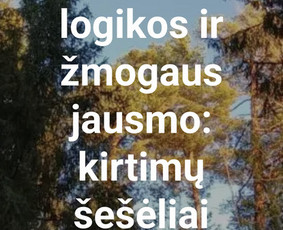 Straipsnių ra&scaron;ymas - Tekstų kūrimas, socialinių tinklų turinys, Seo, komunikacija - 3