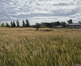 Vejos priežiūra, įrengimas - Žolės, pievų pjovimas,mulčiavimas. - 2