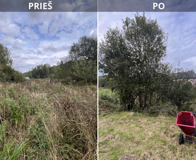 Pievų &scaron;ienavimas - Vejos/auk&scaron;tos žolės pjovimas, kiti gerbūvio darbai. - 1