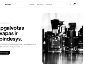 Programuotojai - Svetainių kūrimas: Astro.js, Wordpress, greitis ir Seo - 1