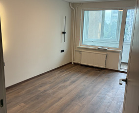 Butų, namų, patalpų remonto ir apdailos darbai / Владимир / Darbų pavyzdys ID 4543456