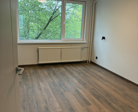 Butų, namų, patalpų remonto ir apdailos darbai / Владимир / Darbų pavyzdys ID 4543458