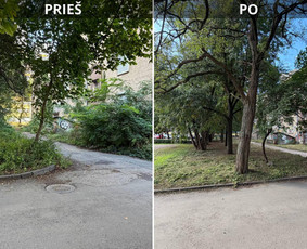 Vejos priežiūra, įrengimas - Vejos/auk&scaron;tos žolės pjovimas, kiti gerbūvio darbai. - 1