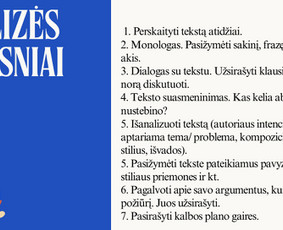 Ruo&scaron;imas lietuvių kalbos egzaminams - Individualios nuotolinės lietuvių kalbos pamokos - 2