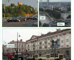 Individualios nuotolinės lietuvių kalbos pamokos / Eimantė Vinskaitė / Darbų pavyzdys ID 4544194