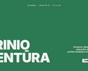 Svetainių talpinimas (Hosting) - Internetinių Svetainių Ir Shopify El. Parduotuvių Kūrimas - 1