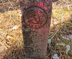 Mi&scaron;kininkai - Mi&scaron;kotvarkos projektai, Mi&scaron;kininkystė, Mi&scaron;kai - 4
