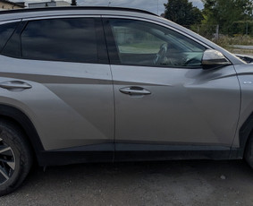 Auto ir pastatų stiklų tamsinimas Žibintai Lipdukai / Steponas Trečiokas / Darbų pavyzdys ID 4545442