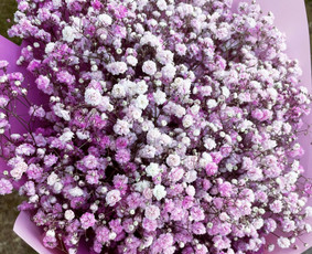 Floristika ir dekoravimas / FLORISTĖ • DEKO / Darbų pavyzdys ID 4548854