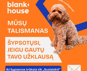 Paslaugos verslui - Animacija ir grafinis dizainas - Vizualinis identitetas - 1
