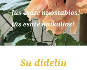 Psichologinė, emocinė pagalba - Pagalba ir palaikymas toksi&scaron;kų santykių metu ir po jų. - 1