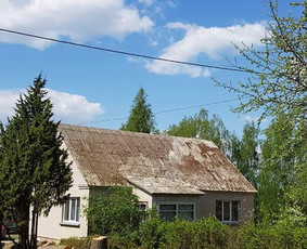 Arboristo paslaugos. Medžių pjovimas, kelmų naikinimas / Mantas Gerulis / Darbų pavyzdys ID 985761