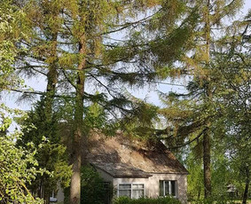 Arboristo paslaugos. Medžių pjovimas, kelmų naikinimas / Mantas Gerulis / Darbų pavyzdys ID 985765