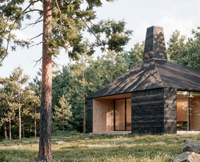 Interjerų projektai - 2d, 3d, vizualizacijos, brėžiniai / Senstudio / Darbų pavyzdys ID 4550036