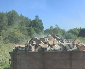 Malkos: gamyba, pristatymas - Beržo ir kitų lapuočių medžių malkos - 2