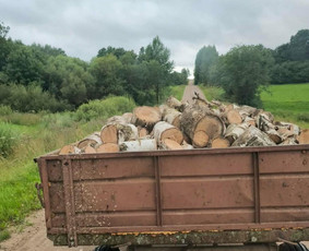 Malkos: gamyba, pristatymas - Beržo ir kitų lapuočių medžių malkos - 3