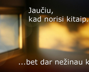Psichoterapija, konsultacijos – Online / Šiauliai / Kaunas / PRANAS BENIKAS / Darbų pavyzdys ID 4550344