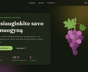 El. parduotuvių kūrimas - Modernių interneto svetainių kūrimas ir dizainas - 1