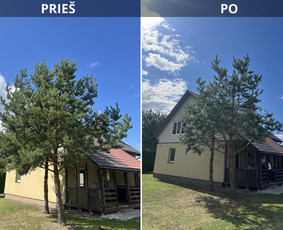 Aplinka, sodas - Medžių genėjimas, Pjovimas. Aplinkos tvarkymo darbai - 4