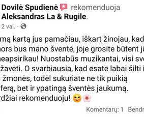 Renginiai, &scaron;ventės - Muzikantai, atlikėjai, vedėjas - 4