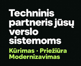 Paslaugos verslui - Programavimo paslaugos, Ai diegimas. - 1