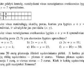 Papildomas matematikos mokymas internetu - Matematikos korepetitorė - 2