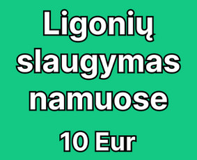 Ligonių slaugymas namuose - Senelių ir ligonių priežiūra namuose Plungėje &ndash; Ipd, 15 m. - 1