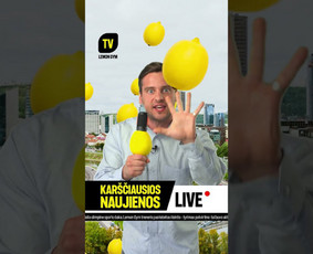 Grafikos dizaineriai - Animacija ir grafinis dizainas - Vizualinis identitetas - 1