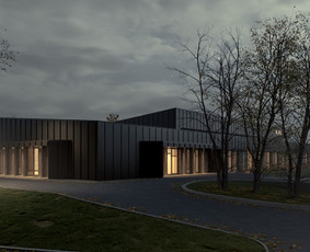 3D vizualizacijos: interjeras, eksterjeras, 3D planai / LURAVIZ / Darbų pavyzdys ID 4555562