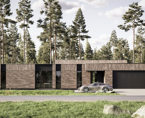 Eksterjero vizualizacijų kūrimas - 3D vizualizacijos: interjeras, eksterjeras, 3D planai - 2