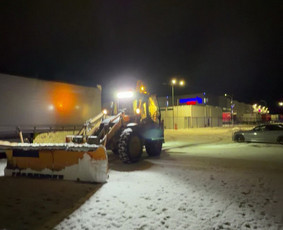 Aplinkos tvarkymas, apželdinimas - Mulčiuoju Žolę, frezuoju žeme - 4