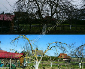 Aplinkos tvarkymas / Rokas Adakauskas / Darbų pavyzdys ID 4556560