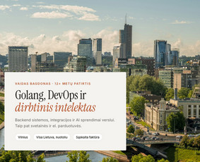 Svetainių kūrimas - Golang, dirbtinio intelekto sprendimai, PHP, integracijos - 1