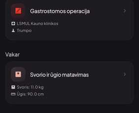 Telefono programėlių ir interneto svetainių kūrimas / Domantas Čėsna / Darbų pavyzdys ID 4558128