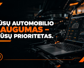 Automobilių pirkimo-pardavimo konsultantai - Automobilio patikra prie&scaron; pirkimą. - 4
