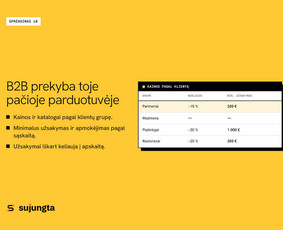 Shopify programavimas: temos, integracijos ir programėlės / Sujungta.lt / Darbų pavyzdys ID 4559134