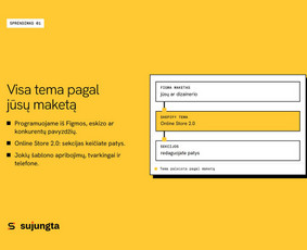 Interneto svetainių kūrimas - Shopify programavimas: temos, integracijos ir programėlės - 3