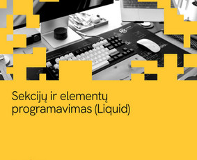 Shopify programavimas: temos, integracijos ir programėlės / Sujungta.lt / Darbų pavyzdys ID 4559400